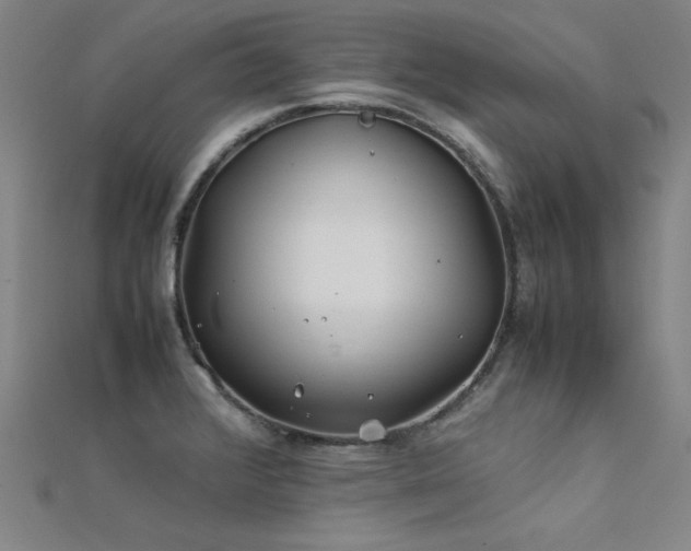X0000112401376200908141330