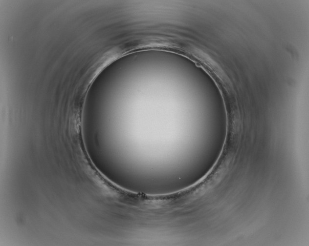 X0000112401377200908141330