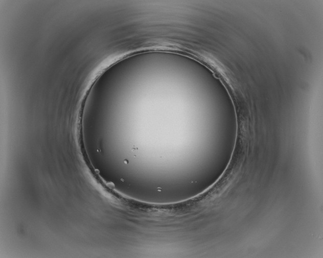 X0000112401379200908141330