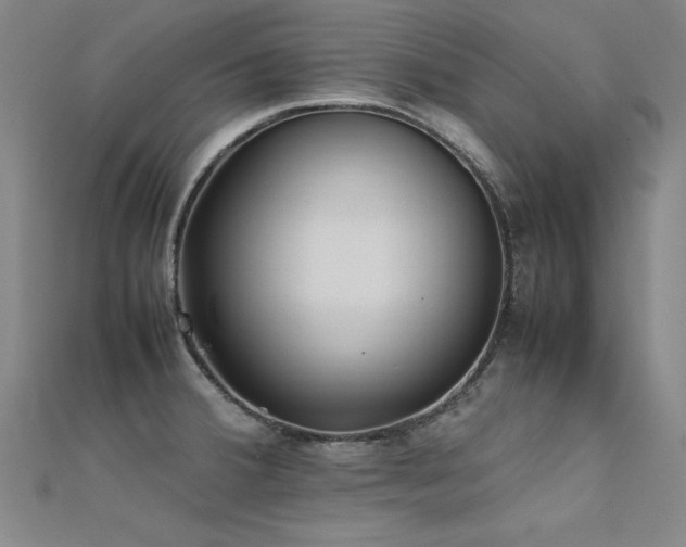 X0000112401380200908141330