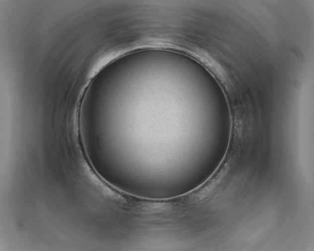 X0000112401382200908141330