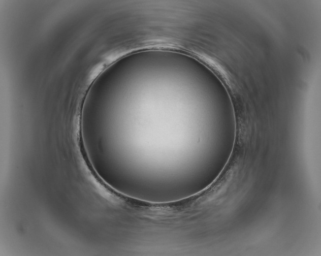 X0000112401383200908141330