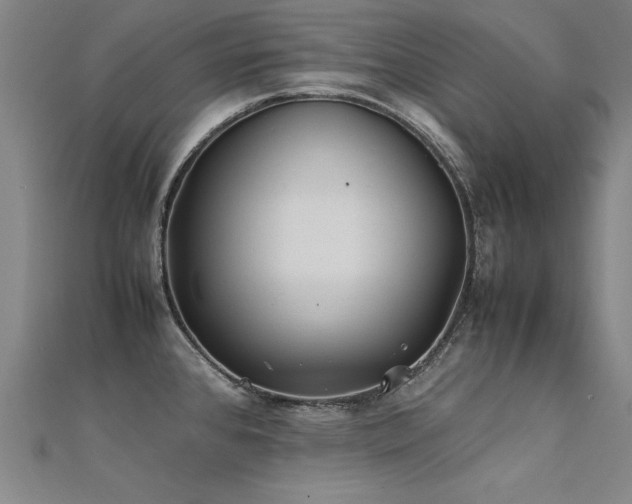 X0000112401384200908141330