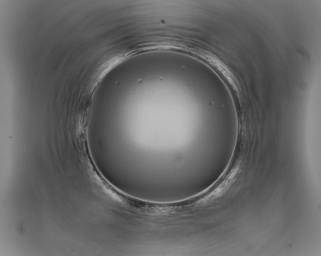 X0000112401385200908141330