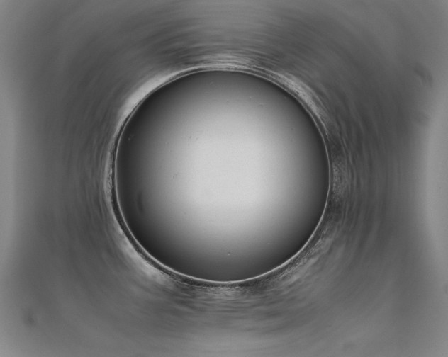 X0000112401387200908141330