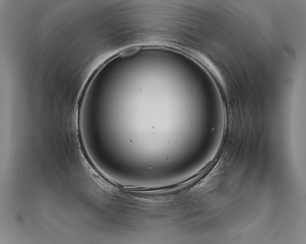 X0000112401388200908141330