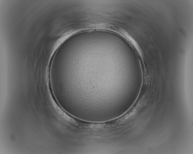 X0000112401389200908141330