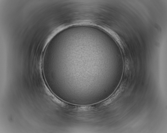 X0000112401390200908141330