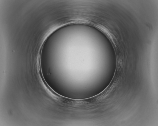 X0000112401391200908141330