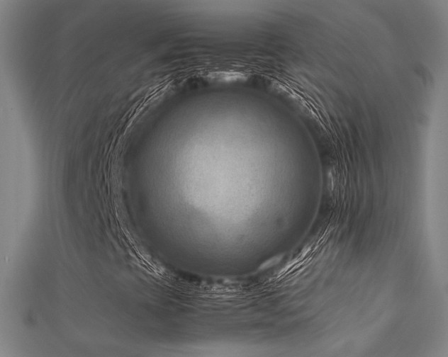 X0000112401393200908141329