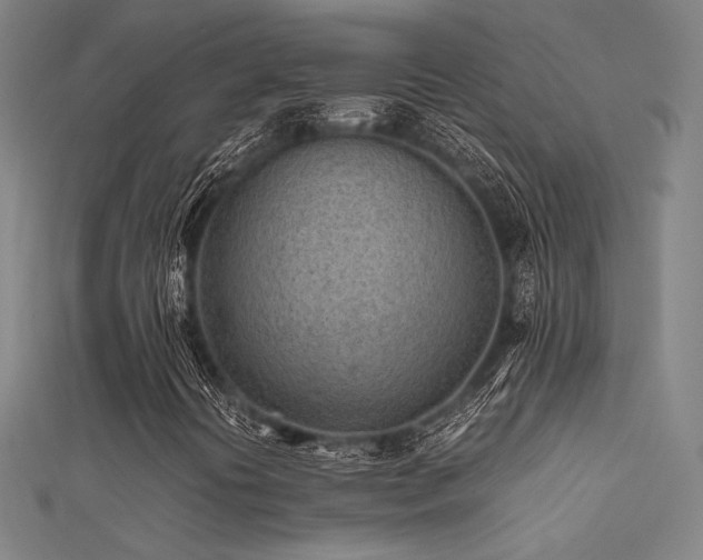 X0000112401394200908141329
