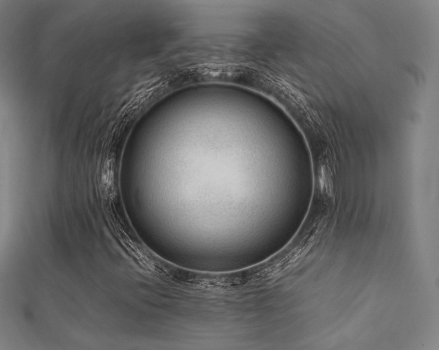 X0000112401396200908141329