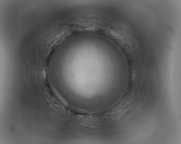 X0000112401397200908141329