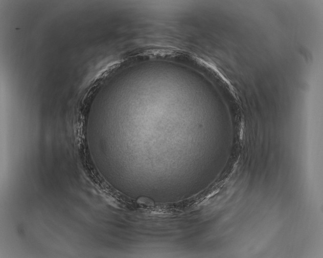 X0000112401399200908141329