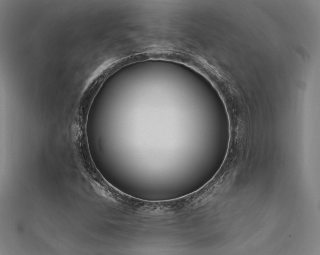X0000112401400200908141329