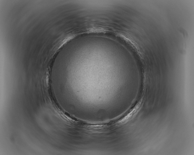 X0000112401401200908141329