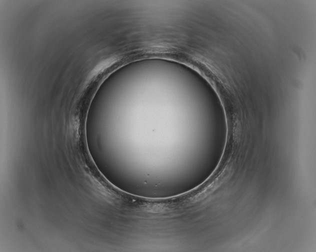 X0000112401402200908141329