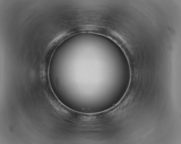 X0000112401403200908141329
