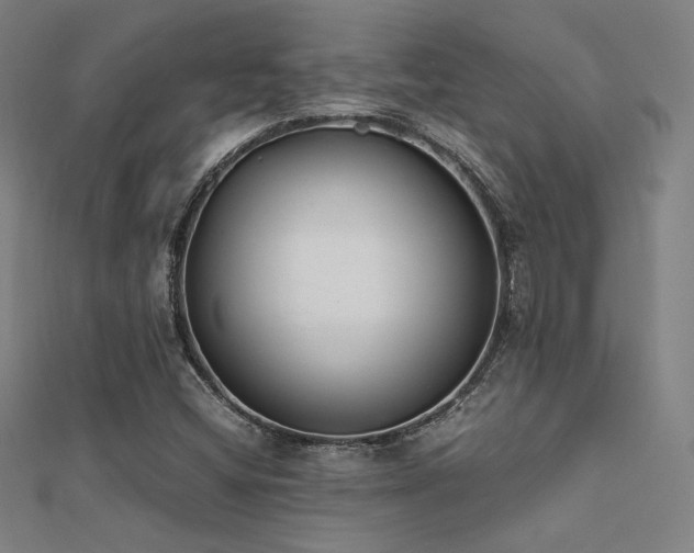 X0000112401404200908141329