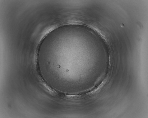 X0000112401405200908141329