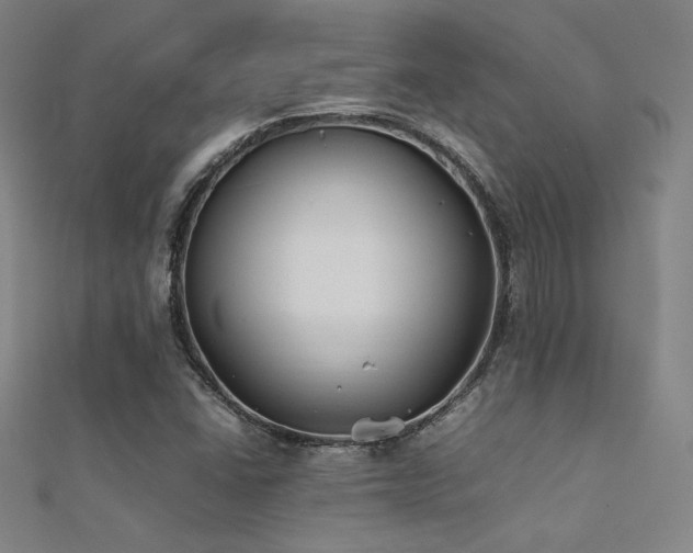 X0000112401406200908141329