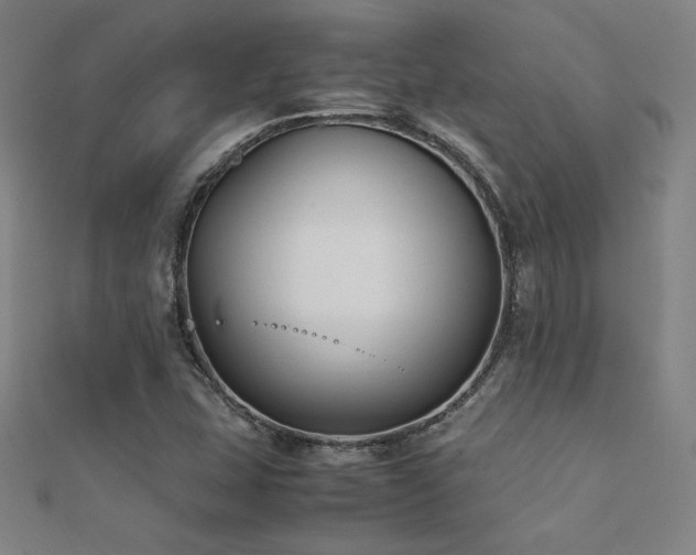 X0000112401407200908141329