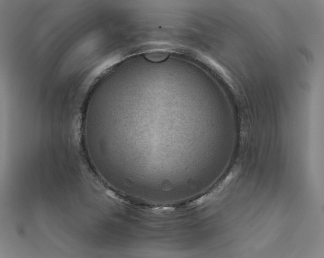 X0000112401411200908141329