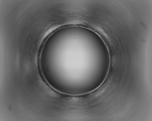 X0000112401412200908141329