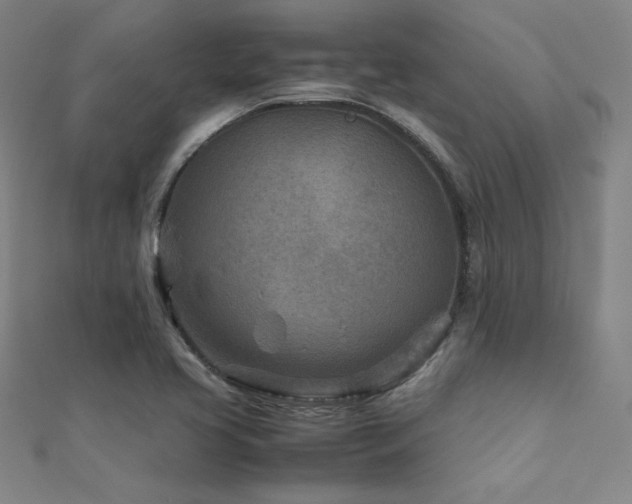 X0000112401413200908141329