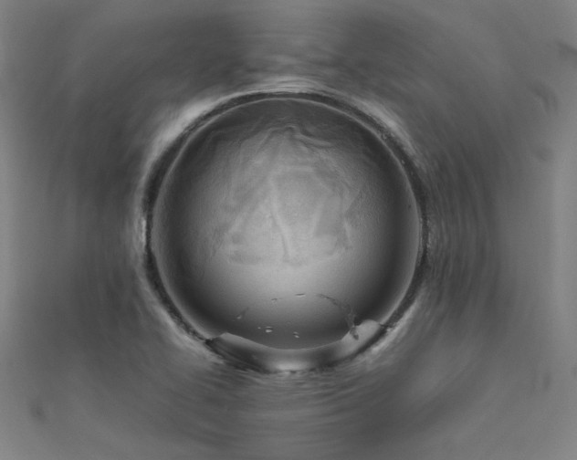 X0000112401414200908141329