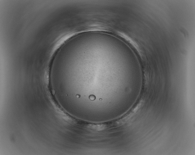 X0000112401415200908141329