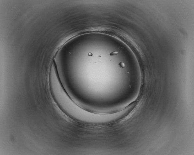 X0000112401417200908141329