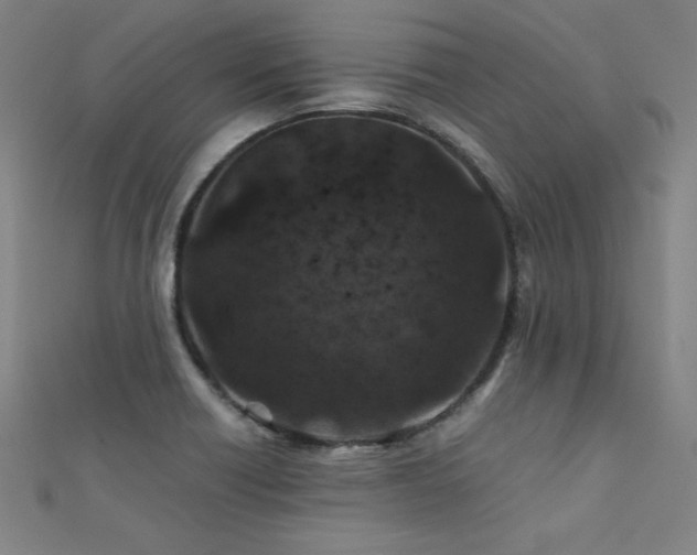X0000112401418200908141329