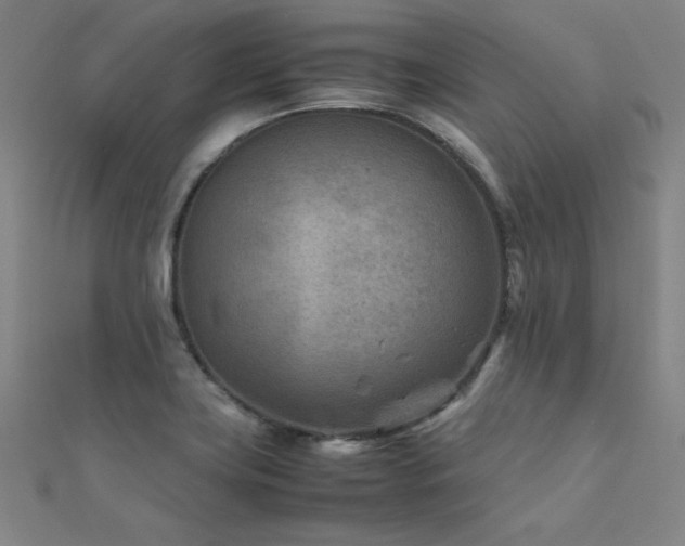 X0000112401419200908141329