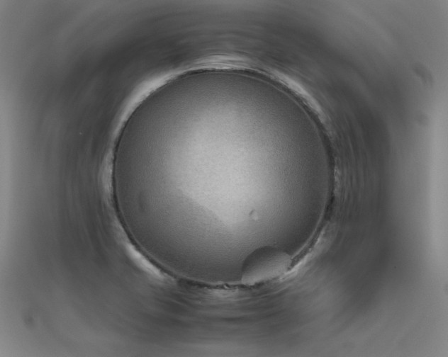 X0000112401421200908141329
