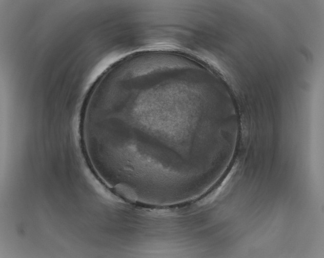 X0000112401422200908141329