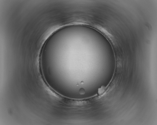 X0000112401423200908141329