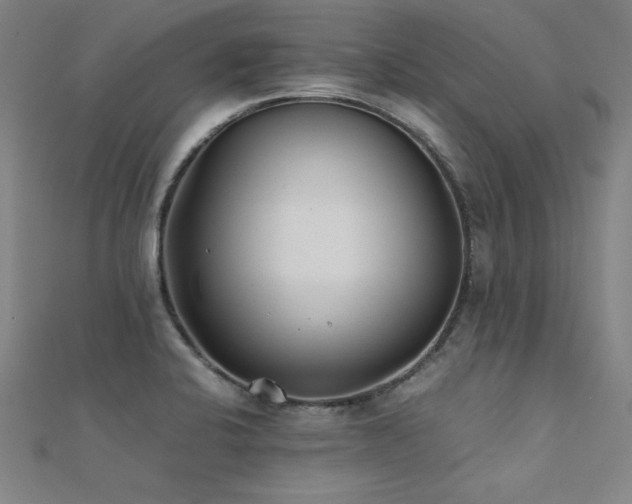 X0000112401424200908141329