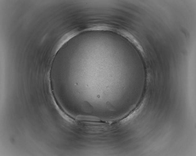 X0000112401425200908141329