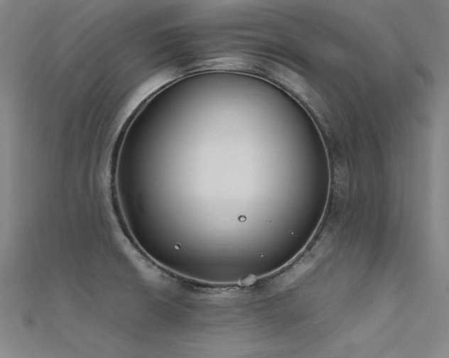 X0000112401426200908141329