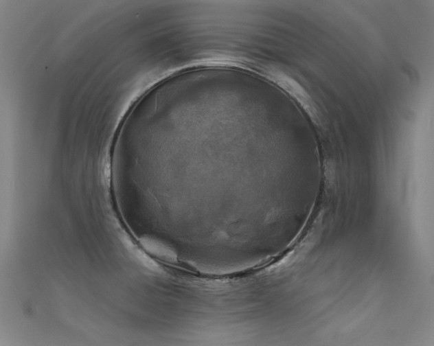 X0000112401428200908141329