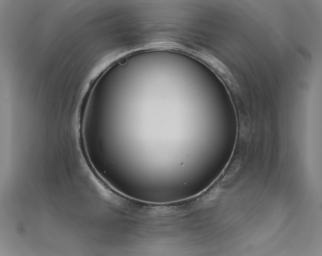 X0000112401430200908141329