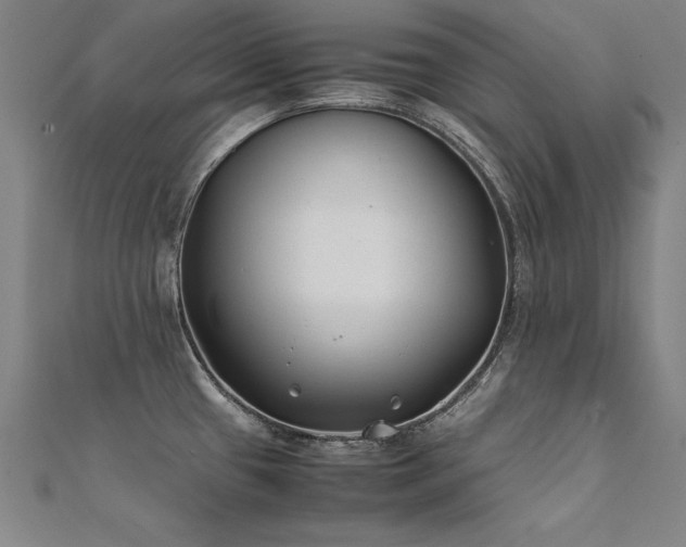 X0000112401433200908141329