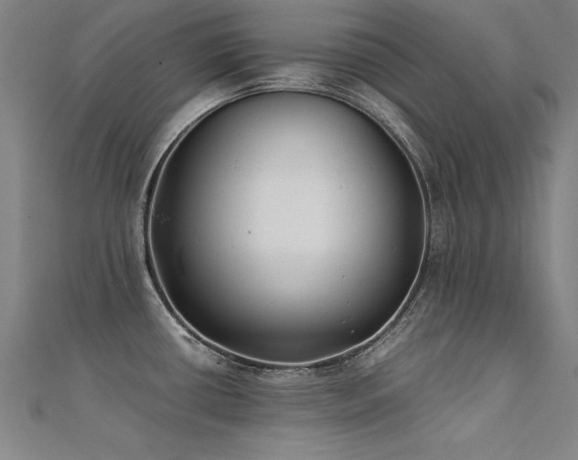 X0000112401434200908141329