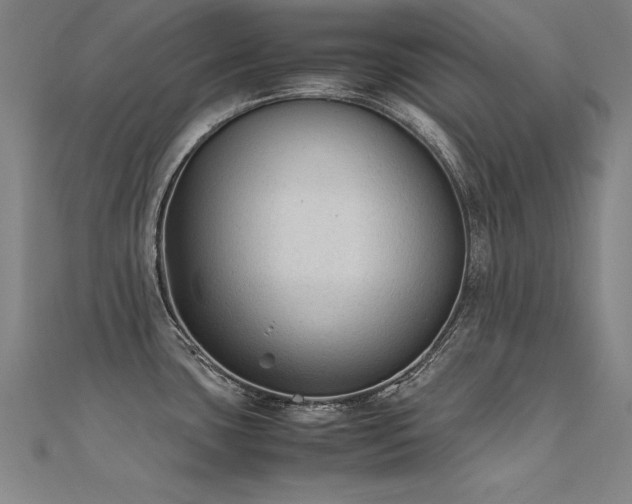 X0000112401435200908141329
