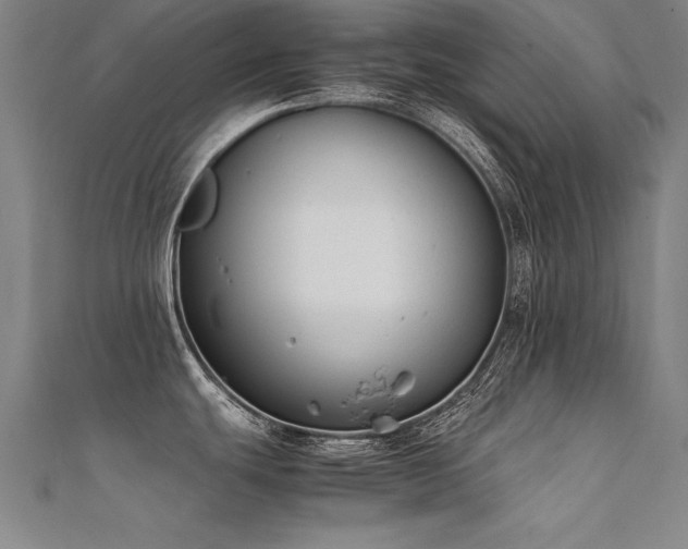 X0000112401439200908141329