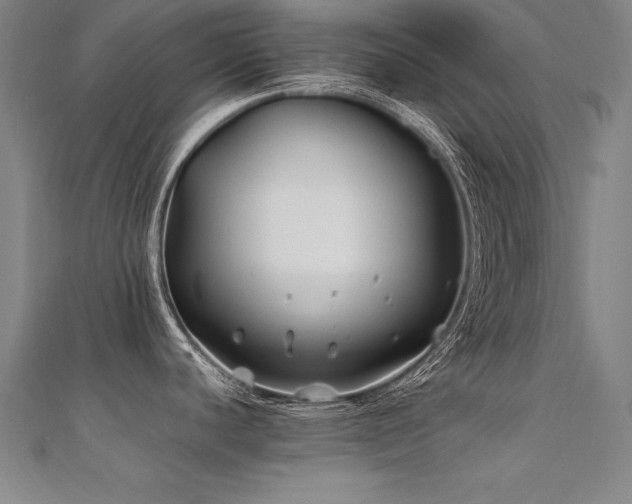 X0000112401440200908141329
