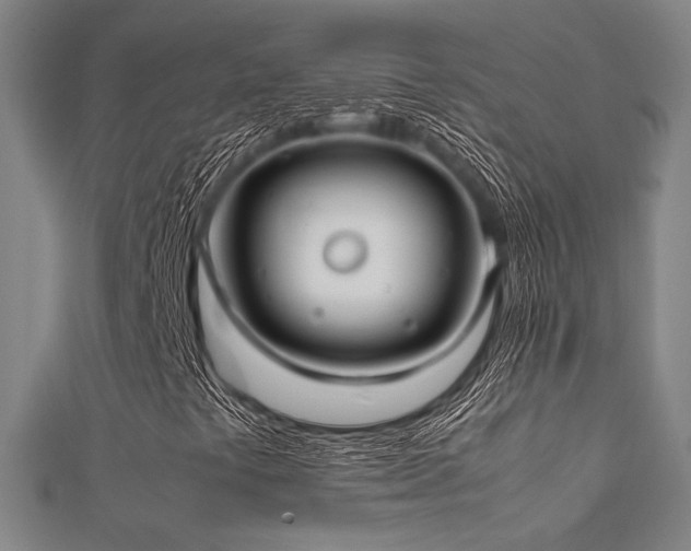 X0000112401441200908141329