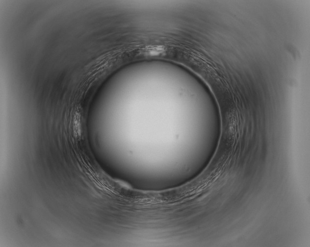 X0000112401442200908141329