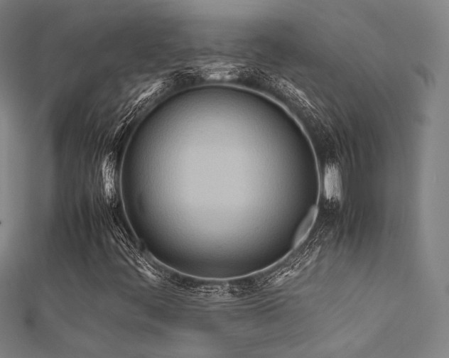 X0000112401444200908141329